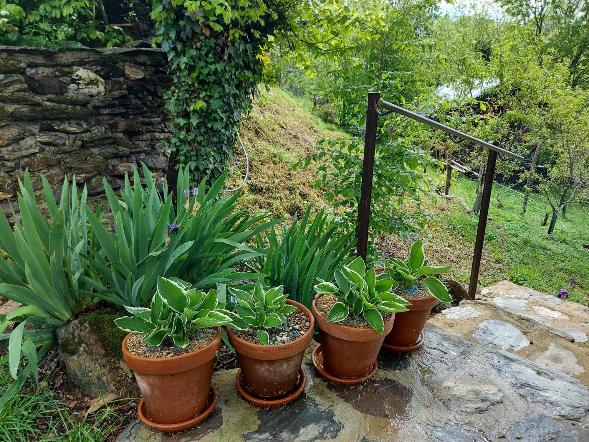 Louradou-Sur-Ciel Bed & Breakfast Jouqueviel Dış mekan fotoğraf